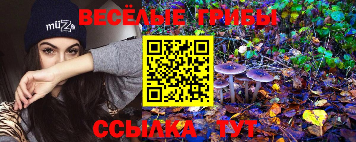 Галлюциногенные грибы MAGIC MUSHROOMS Курганинск